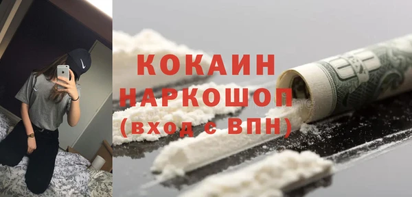 крисы Верея