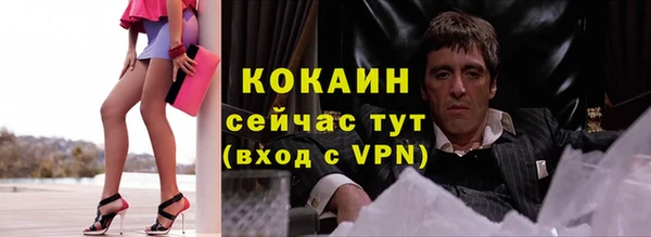 крисы Верея