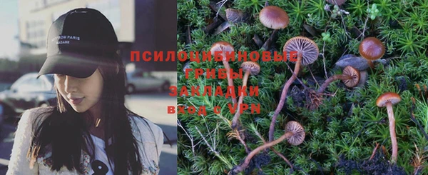 крисы Верея