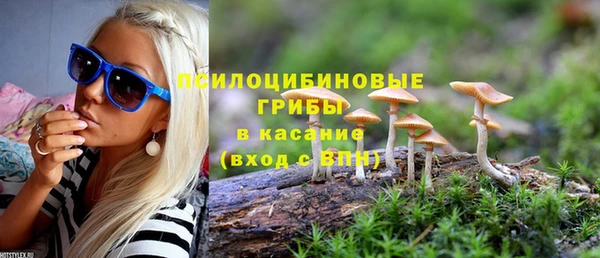 ALPHA PVP Верхний Тагил